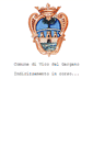 Mobile Screenshot of comune.vicodelgargano.fg.it